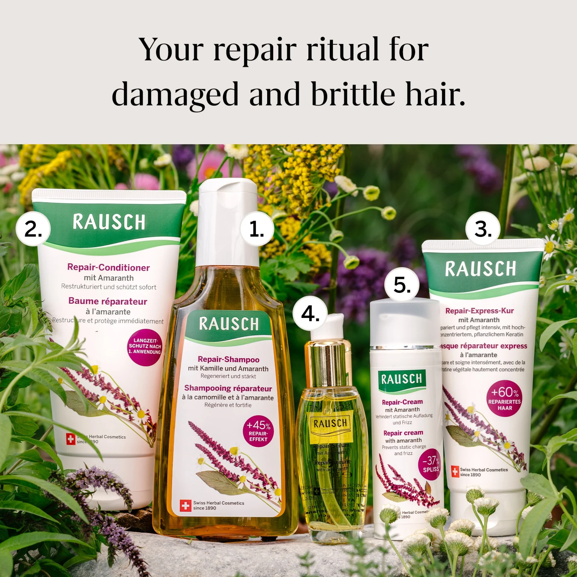 Rausch Chamomile & Amaranth Repair Shampoo for Damaged Hair 200ml - Image 5