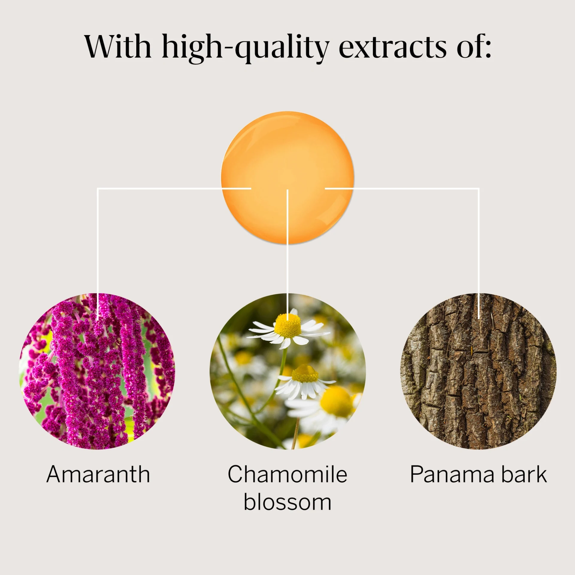 Rausch Chamomile & Amaranth Repair Shampoo for Damaged Hair 200ml - Image 8