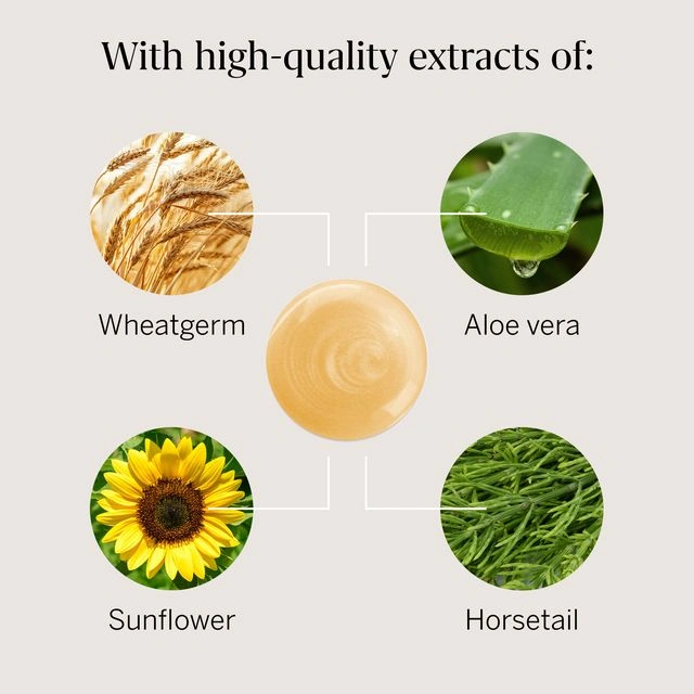 Rausch Nourishing Shampoo with Egg-Oil 200ml - Image 3